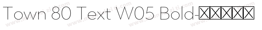 Town 80 Text W05 Bold字体转换